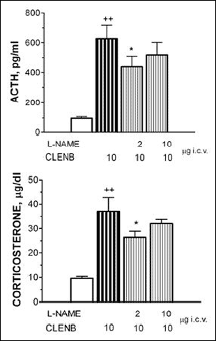 The effect of L-NAME given 15 min before CLEN on the CLEN-induced ACTH and 